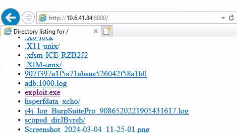 Download exploit.exe via Browser